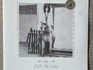Patti Smith - Horses (Live At Electric Lady Studios) (Vinyl, 2x LP) RARE
