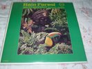 WALTER WANDERLEY     *     RAIN FOREST