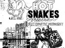 Hot Snakes Automatic  Midnight LP Vinyl SP1217 NEW