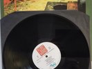 Green On Red-Here Come the Snakes 1989 LP Album vinyl record country rock black