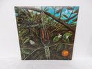 DRAGONFLY - SELF TITLED / LP / PSYCHEDELIC ROCK / 1968 ? / MEGAPHONE