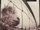 Pearl Jam VS 30th Anniv 2x LP 10C Exclusive Dreamsicle Vinyl NEW/SEALED