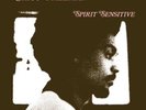 DUTY FREE CHICO FREEMAN - SPIRIT SENSITIVE Analogue Productions 33 Vinyl