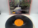 Conjunto Chaney El Conjunto Del Amor 1989 Hitt Makers Latin Salsa Vinyl Record