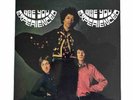 JIMI HENDRIX - ARE YOU EXPERIENCED Vinyl LP 12