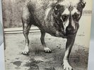 Alice in Chains Self-Titled (1995) 2LP Vinyl Used Gatefold