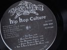 HIP HOP CULTURE Waste Not, Want Not PERFECTION LP i