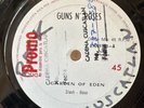 GUNS N' ROSES - Garden Of Eden - RARE COSTA RICA RADIO PROMO 12
