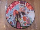 The Who Magic Bus Picture Disc Album