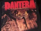 Pantera The Great Southern Trend Kill Vinyl