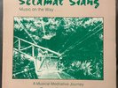PETER DAVISON “SELAMAT SIANG” **RARE NEW AGE ELECTRONIC PRIVATE** LP