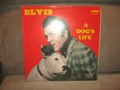 RARE VINYLE LP 33 TOURS 