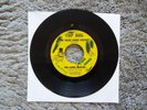 RARE DETROIT GARAGE PSYCH-TOP DOG 100-THE CAMEL DRIVERS-GRASS LOOKS GREENER-45