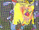 Ballet Slippers by Animal Collective (Record, 3-LP, 2020) USED GREAT