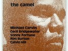 MICHAEL CARVIN CAMEL STEEPLECHASE RJ7113 JAPAN PROMO VINYL LP