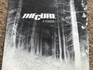 the cure a forest