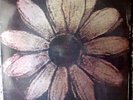 Cardiacs Is This The Life The Alphabet Business Concern VINYL 12