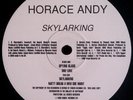 Horace Andy - Skylarking - Used Vinyl Record 12 - 13 - Promo - J12230z