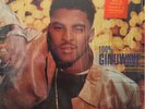 Ginuwine - 100% Ginuwine (Vinyl 2LP - 1999 - US - Original)