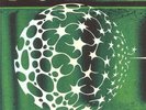 DUMMY - Free Energy - Vinyl (LP in spot-varnished sleeve)
