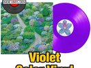 Fiddlehead - Between the Richness - Violet Color Vinyl Record