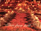 2LP Elvis from Hell von The Gun Club (2017)