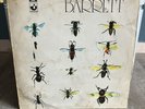 Syd Barrett Barrett 1970 Record Vinyl Lp Prog Rock SHSP4007 VG EMI/Harvest