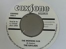 The Gaylads / Winston* & Bibby* – The Morning Sun / Talk Too Much - Coxsone