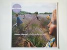 DAMON & NAOMI - False Beats And True Hearts vinyl LP 2011 US import NEW SEALED