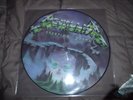 TRES RARE 33T  PICTURE DISC METALLICA
