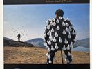 Pink Floyd Delicate Sound Of Thunder (2xLP, Album) 1st Press EMI 1988 VG+/VG+