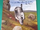English Teacher - This Could Be Texas LP - *Signed 12'' GREEN Vinyl PERSONALISED
