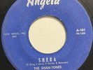 THE SHAN-TONES - Sheba / Shortnin' Bread 45rpm Garage 1963 RocknRoll Rumble