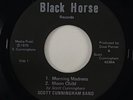 Scott Cunningham Band 