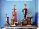 Bleed American by Jimmy Eat World (Vinyl LP Record, 2016)