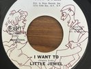 Northern Soul R&B Little Jewel I Want To It Doesn’t Matter Tayster Promo
