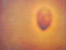 VINYL INVISIBLE DURAZNO SANGRANDO BRAND NEW SEALED