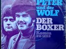 PETER UND DER WOLF  Wolfgang Moethe  - DER BOXER  Coverversion Simon & Garfunkel