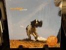 The Cardigans Emmerdale LP - Near mint