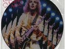 PICTURE DISC Peter Frampton Frampton Comes Alive  NUMBERED, PICTURE DISC