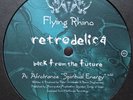 Various - Retrodelica / Back From The Future (4 Track Sampler) (2x12