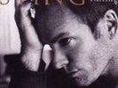 Sting - Mercury Falling - LP