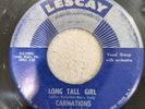 GREAT DOO WOP 45 BY THE CARNATIONS ON THE LESCAY LABEL# 3002