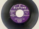 The Delteens 1961 DOOWOP 45 Listen To The Rain / Love Me FORTUNE VG++/VG+++ HEAR