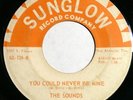 THE SOUNDS You Could Never Be Mine/ Little Joe 45 RARE Texas Soul Garage HEAR
