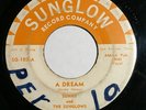 SUNNY & THE SUNGLOWS A Dream/ The Lasso 45 rpm RARE TX R&B SOUL DOO-WOP Hear