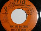 LITTLE JR. JESSE Ain't No Big Thing/If You Don't Love Me 45 RARE TX  SOUL Hear