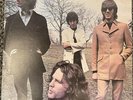 Mr. Mojo Risin' - The Doors Live (Double Album)