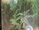 GABOR SZABO MAGICAL CONNECTION VINYL RECORD 1970 BTS 23