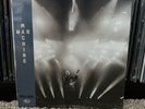 Bryan Adams   War Machine/Rock And Roll Hell 45rpm 7” Single 2024 New KISS